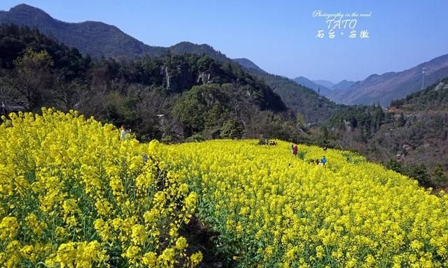 石台牯牛降旅游预约吗,上海到石台牯牛降攻略图5