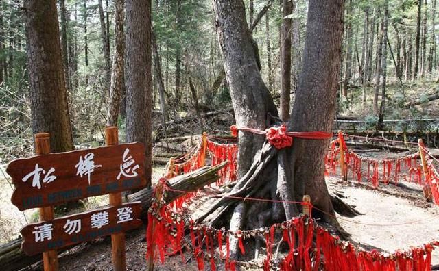 白山市有哪些著名景点,白山有哪些景点图11