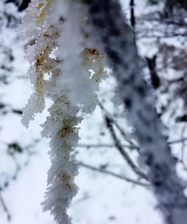 成都周边哪里看雪山最近(成都周边雪山自驾)图9