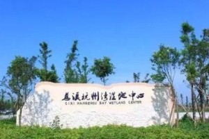 杭州湾国家湿地公园有什么