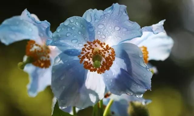 这个季节去云南哪里好玩(这个季节去云南哪里玩最好)图10