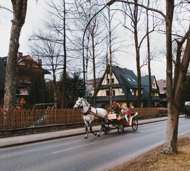 去波兰旅游有哪些好地方,波兰旅游去哪里最好图10