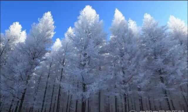 自驾游承德有什么好玩的地方吗(承德避暑山庄十大著名景点)图14