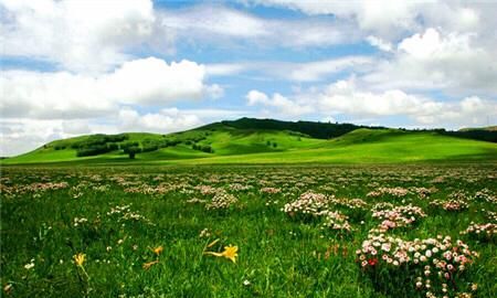 自驾游承德有什么好玩的地方吗(承德避暑山庄十大著名景点)图15