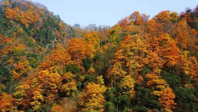 四姑娘山景色美吗,四姑娘山景区哪个更漂亮图2