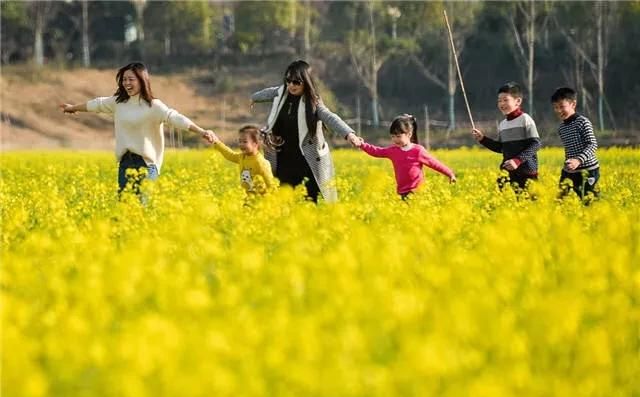 长沙一年四季天气如何,长沙1月份天气冷不冷图7