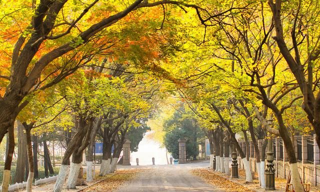 青岛最令你难忘的景点是哪个,青岛最值得去的景点是哪里图17