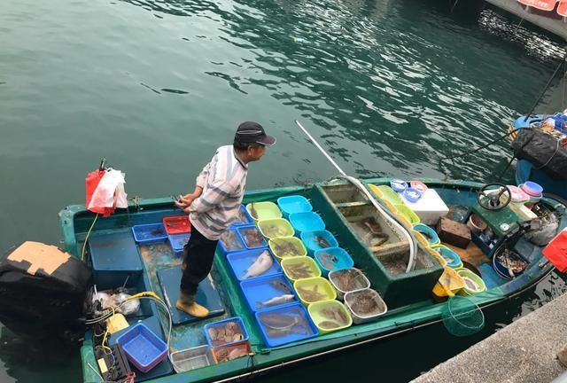 去香港旅游最适宜的时间是几月份图5