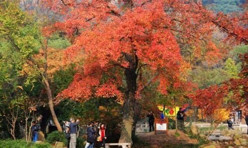 苏州天平山门票多少钱一张图1