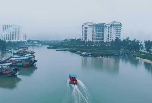 广东最美的海边是哪里(广东海边钓鱼最佳地点)图52