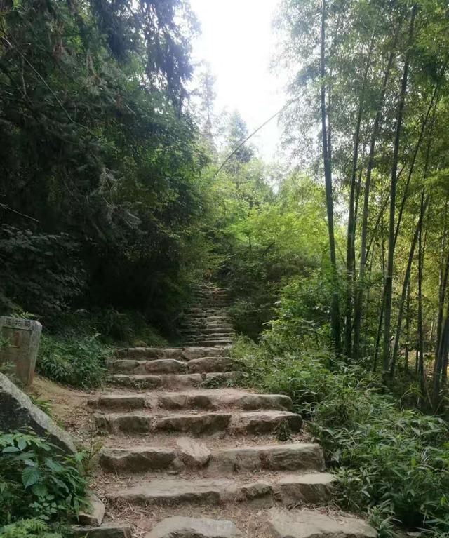 从九江怎么去庐山(从九江怎么去庐山旅游攻略)图2