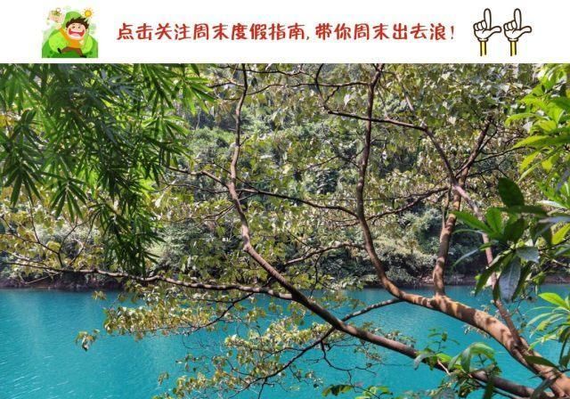 广东肇庆鼎湖山好玩吗值得去吗,肇庆鼎湖山哪个景区最好玩图1