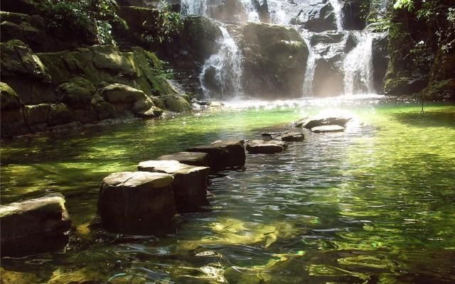 广东肇庆鼎湖山好玩吗值得去吗,肇庆鼎湖山哪个景区最好玩图4