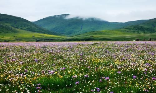 几月份去川藏线最合适,走川藏线哪个季节最安全图20