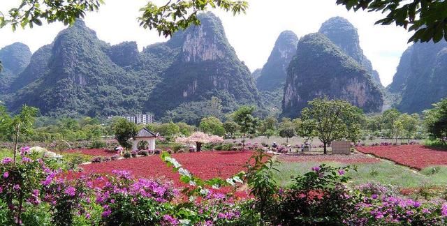 最美花海长什么样(最美花海景点推荐)图46