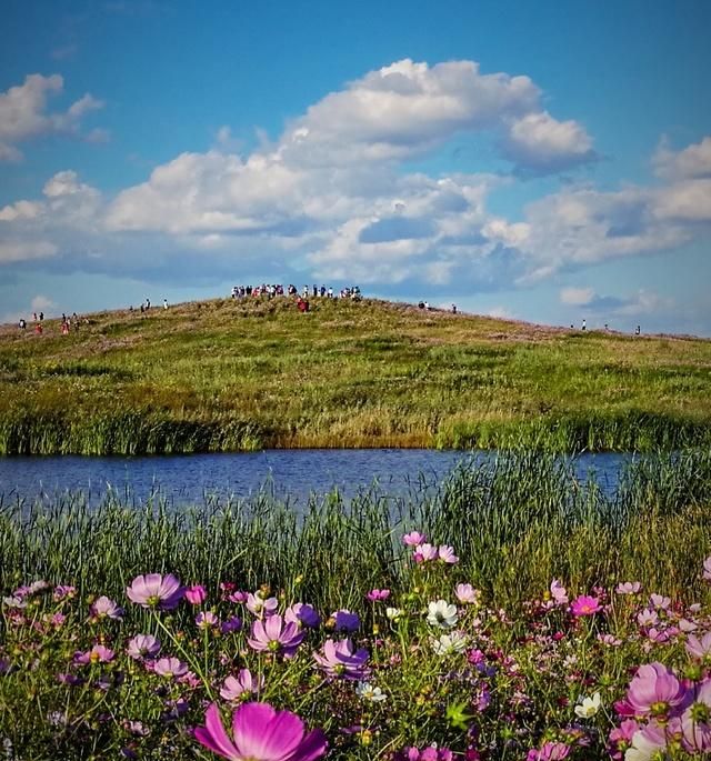 最美花海长什么样(最美花海景点推荐)图57