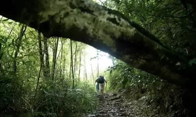 韶关乳源石坑崆风景怎样,韶关乳源石坑崆峰自驾门票图25