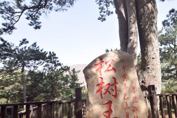 蓟县青山岭九居农家院图10