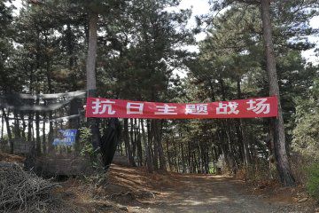 九山顶福客来木屋农家图46