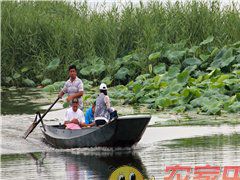 翠屏湖凤姐农家院图28