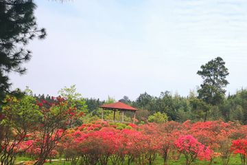 浙北大峡谷石堂子农庄图24