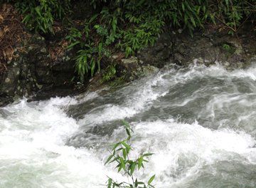 杭州山沟沟开心农家图19