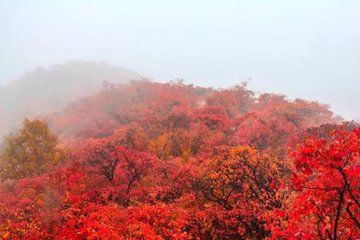 山沟沟听溪山居农家院图45