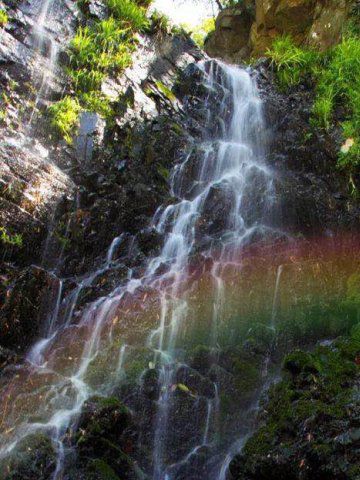 山沟沟听溪山居农家院图46