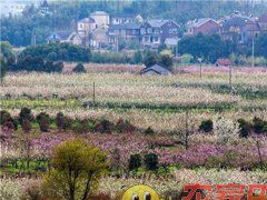 余杭山沟沟彩霞农家院图30