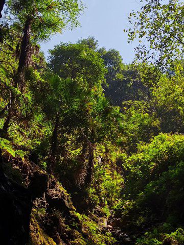 富阳神仙山居图9