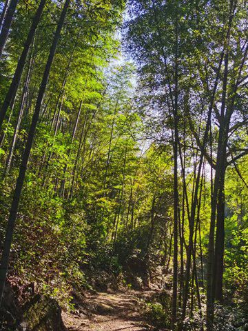 富阳神仙山居图10