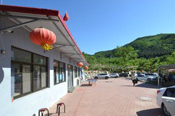 花市村奇悦农家院图15